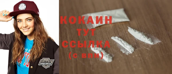 бошки Горняк