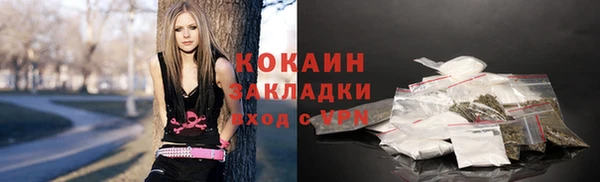 бошки Горняк