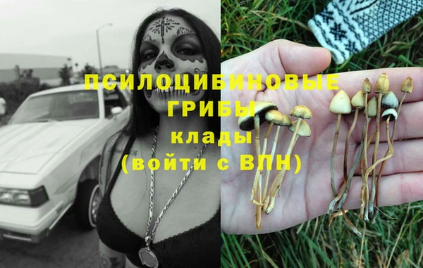 бошки Горняк