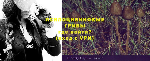 стафф Горно-Алтайск