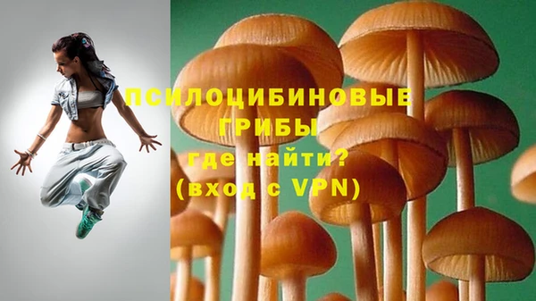 бошки Горняк