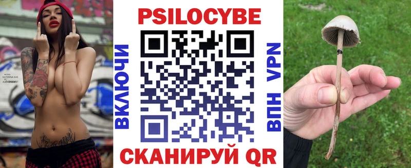 Галлюциногенные грибы мухоморы Новокузнецк